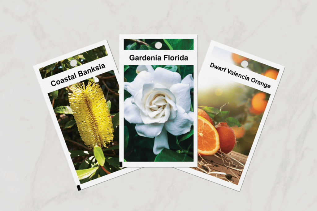 Pictorial Plant Tag 1 1