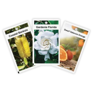 Pictorial plant label printing tags