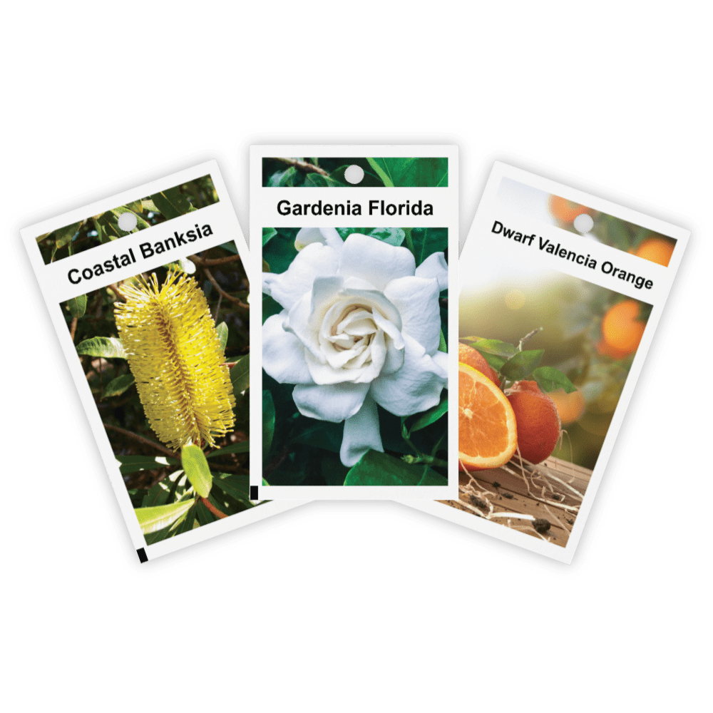 1 in Plant Label Printing Best Nursery Plant Labels & Tags