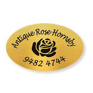 clear cut gold oval colour florist 3