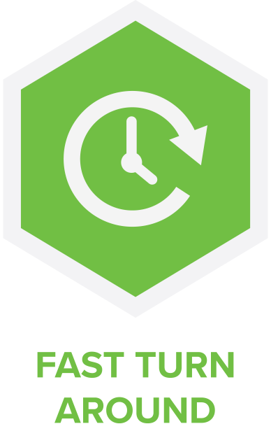 Fast Turn Around Icon